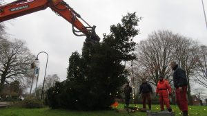 Plaatsing kerstboom 2021: Foto 2