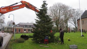 Plaatsing kerstboom 2021: Foto 7