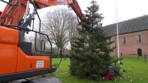 Plaatsing kerstboom 2021: Foto 8
