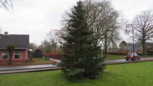 Plaatsing kerstboom 2021: Foto 20