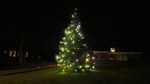 Plaatsing kerstboom 2021: Foto 25