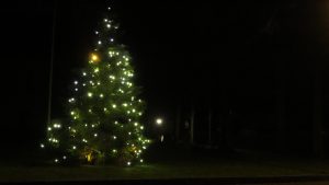 Plaatsing kerstboom 2021: Foto 27
