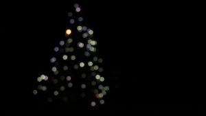 Plaatsing kerstboom 2021: Foto 29