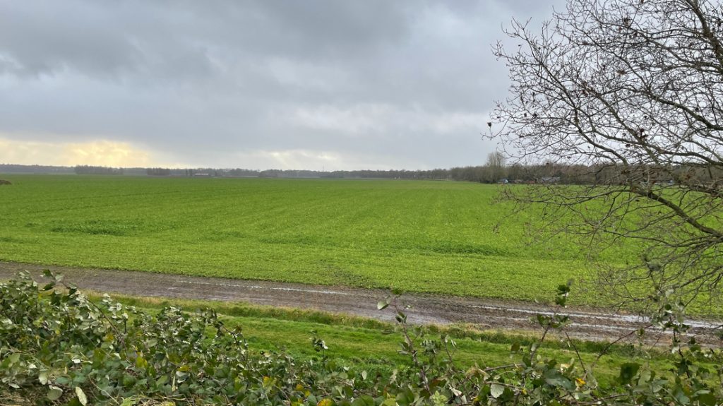 Het gebied waar de windmolens zouden moeten komen